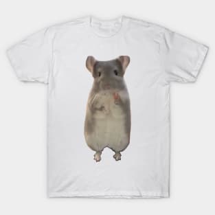 Hamster holding up the number 4 T-Shirt